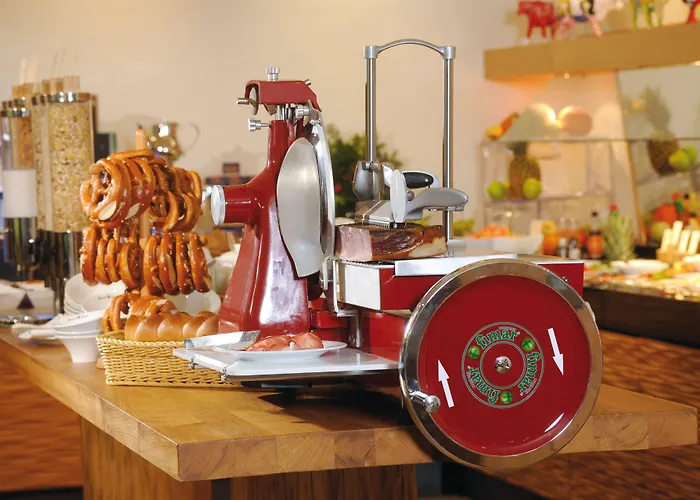 杜塞尔多夫/诺伊斯火与冰酒店 4*