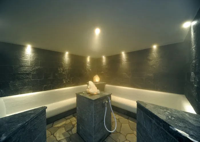 Hotel Fire & Ice Duesseldorf/neuss 4*