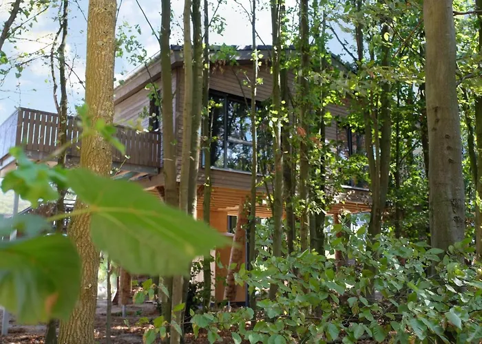 Fire & Ice Duesseldorf/neuss Hotel 4*